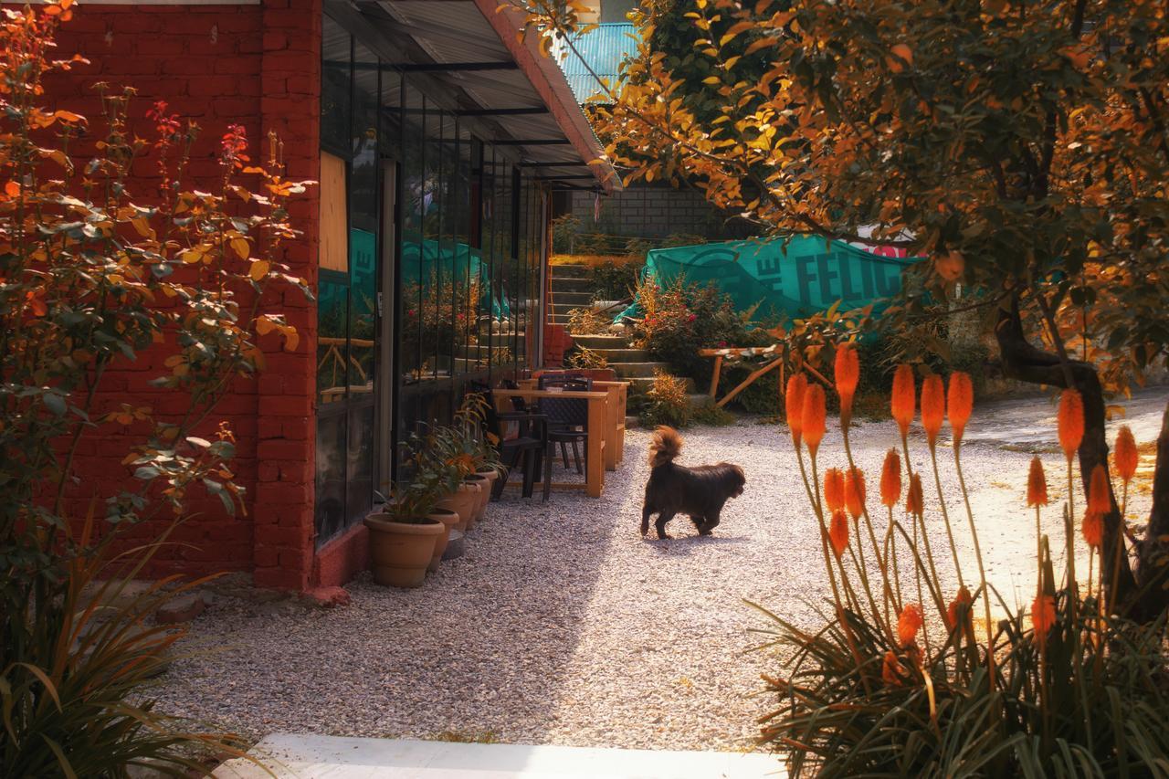 Yolo Backpackers - Manali Hostel Exterior photo